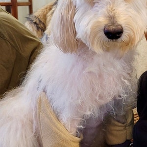 Mindy added a photo of their purchase