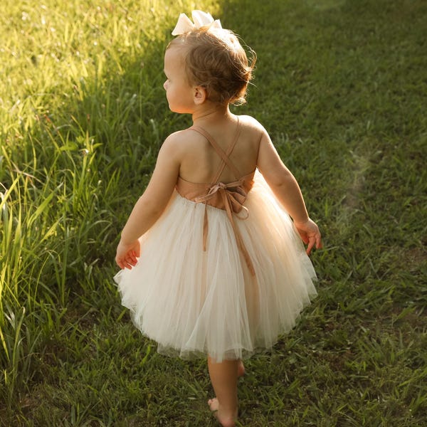 Lace Embroidered Tulle Princess Dress for Girls