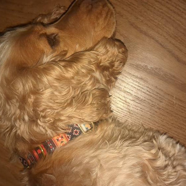 Tribal Dog Collar Personalized, Aztec Pattern Dog Collar With Engraved ...