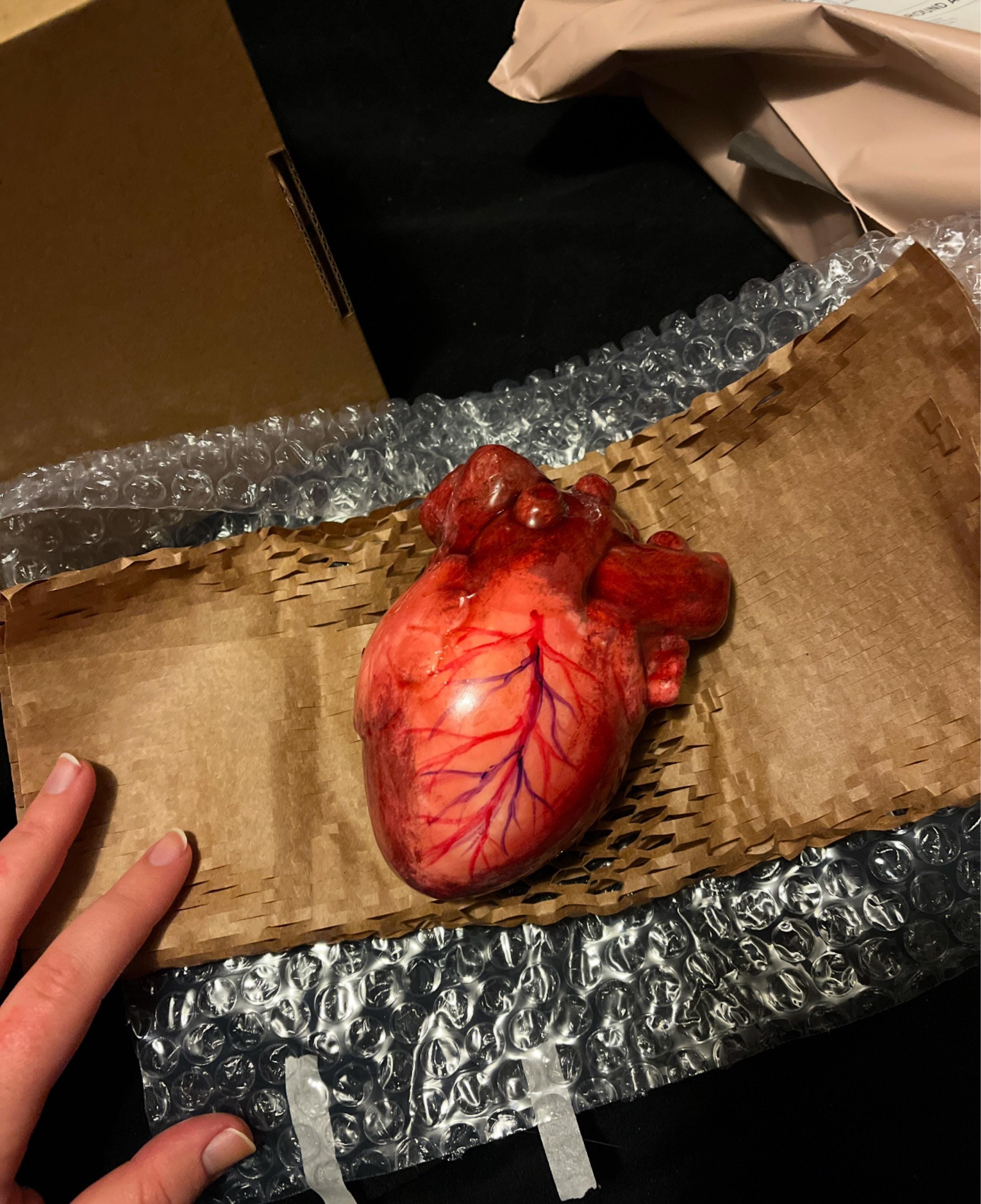 Life Size Human Heart,Handmade Heart,Realistic Heartc,Bloody Heart