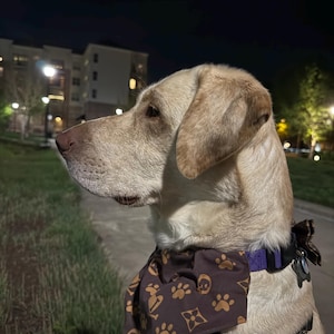 Kevin added a photo of their purchase