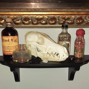 Case File Template Pack 50 Assets Canva Editable Aged - Etsy