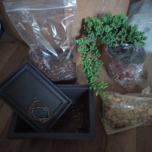 Amanda added a photo of their purchase