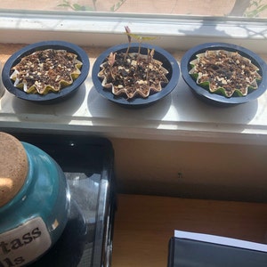 Lyn added a photo of their purchase