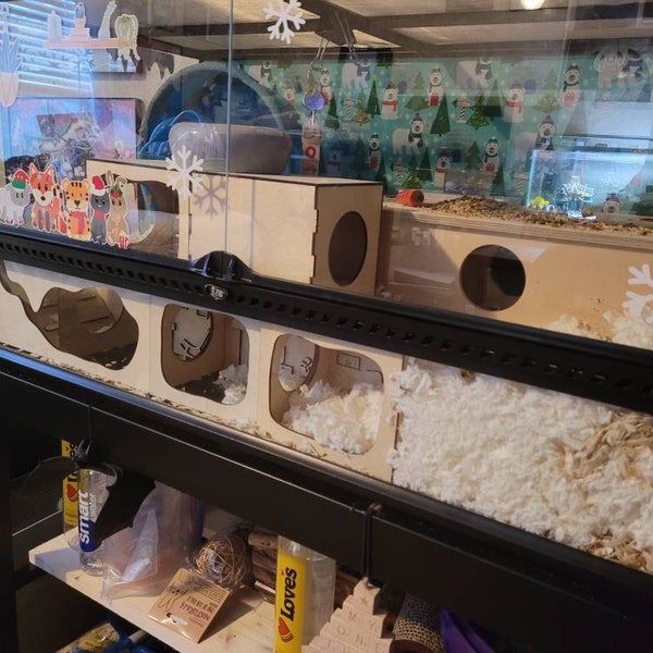 View of Hamster Tunnel/ Hamster Cave Hideout/ Chamber Rooms/ Hamster Digging ...