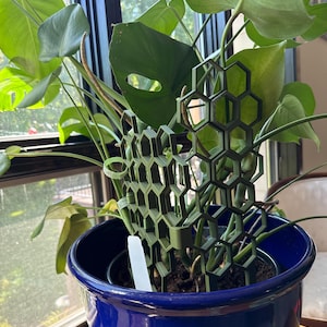 Catherine added a photo of their purchase