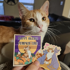 Lindsey added a photo of their purchase