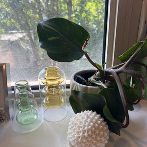 Sue added a photo of their purchase