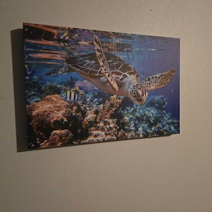 Lundy added a photo of their purchase