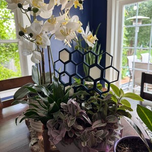 Michael added a photo of their purchase