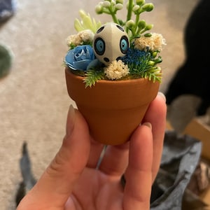 Renee added a photo of their purchase