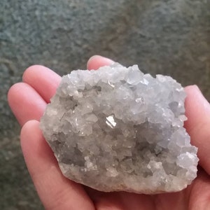 Tara added a photo of their purchase