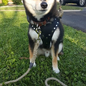 Ericka added a photo of their purchase