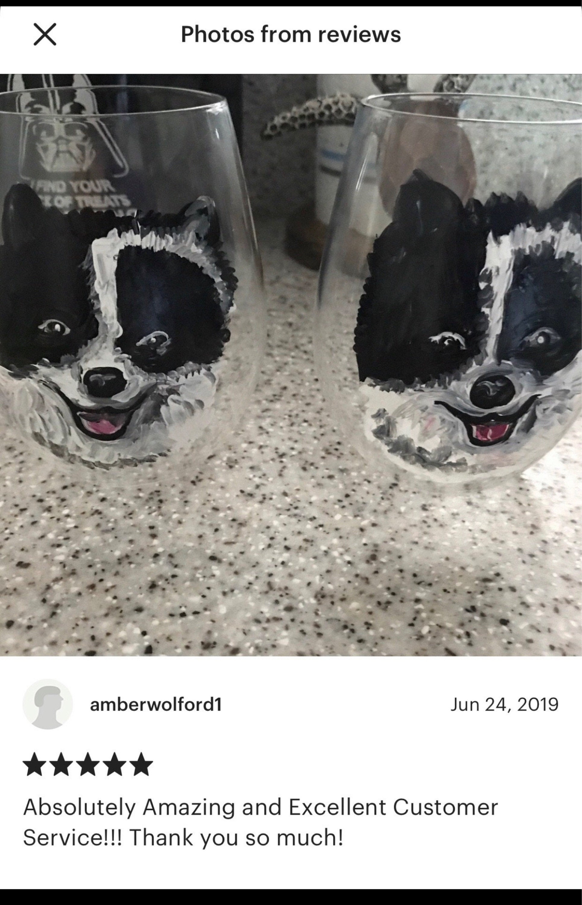 Custom Hand Painted Pet Glass