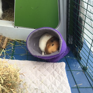 claire added a photo of their purchase