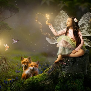 Fairy and Enchanted Forest Background Digital Portrait Background ...