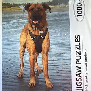 Des added a photo of their purchase