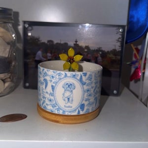Shelby added a photo of their purchase