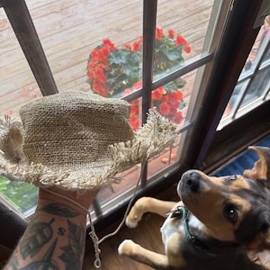 Joshua added a photo of their purchase