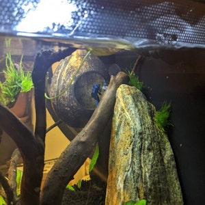 Amanda added a photo of their purchase