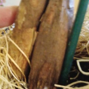 Jana added a photo of their purchase