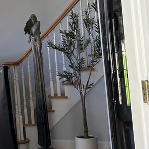 Dawn added a photo of their purchase