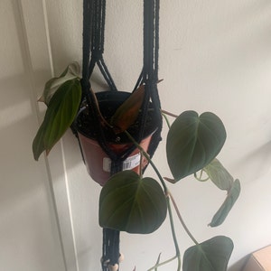 Mel added a photo of their purchase