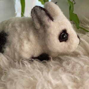 Anna added a photo of their purchase