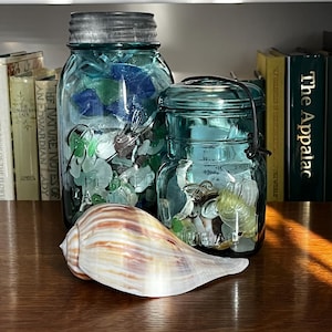 Kelly added a photo of their purchase