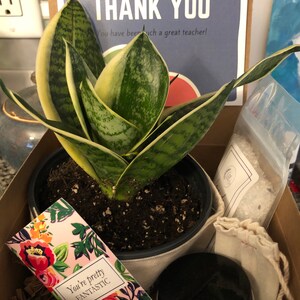 Christine added a photo of their purchase