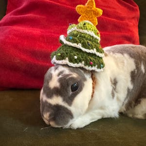 Victoria ha añadido una foto de su compra