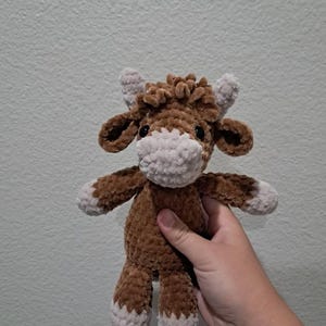 Claire added a photo of their purchase