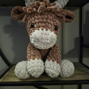 Nanda added a photo of their purchase