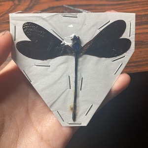 Comprador de Etsy ha añadido una foto de su compra