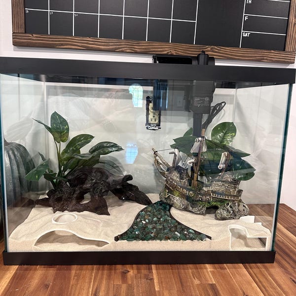 Curated visual reference: Aquarium Cave Swirl Hideout Betta Fish Tank Decoration Goldfish Decor Photo Inspiration