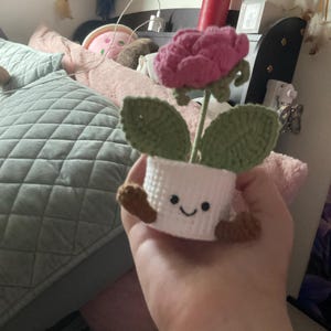 Lilliana added a photo of their purchase