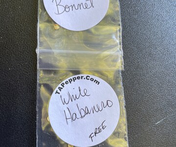 20+ Chocolate Scotch Bonnet Pepper Seeds -isolated- Padded envelope shipping, tracking number included.