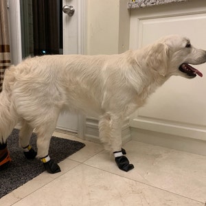 mountain ridge dog boots