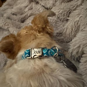 Tina ha añadido una foto de su compra