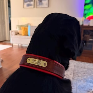 Abigail added a photo of their purchase