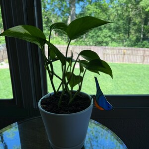 Chris さんが購入した商品の写真を追加しました