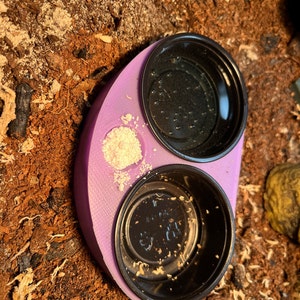 Amanda added a photo of their purchase