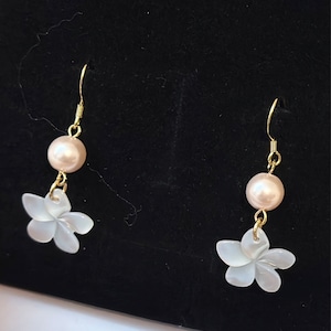 Noriko added a photo of their purchase