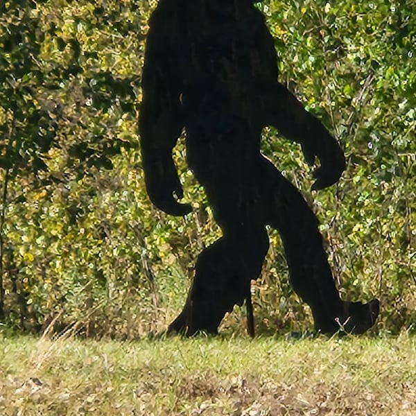 7ft 8ft 10ft Life Size Bigfoot Pattern , Yeti, Sasquatch Silhouette ...