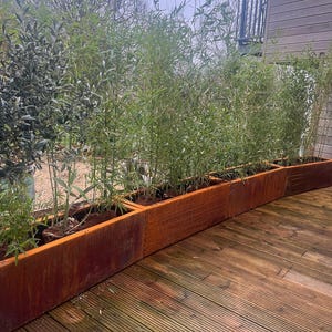 Laura added a photo of their purchase