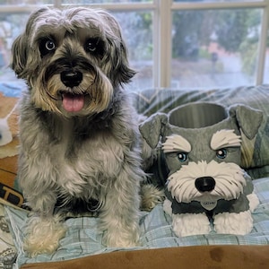 Chau added a photo of their purchase