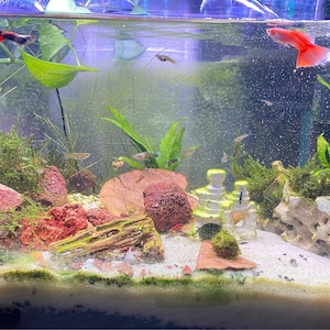 Otib added a photo of their purchase