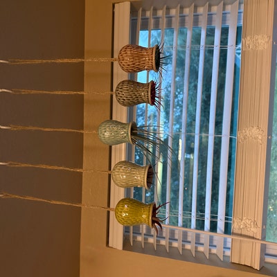 Air Plant Xeric Variety Mix of 10 Airplant, Tillandsia, Wholesale, Bulk ...