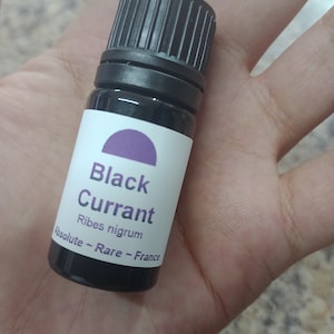 Carlos added a photo of their purchase