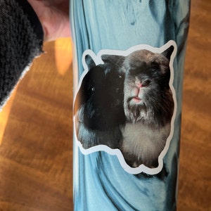 Lindsay added a photo of their purchase